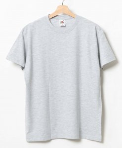 Fruit Soft Premium T-Shirt Gray